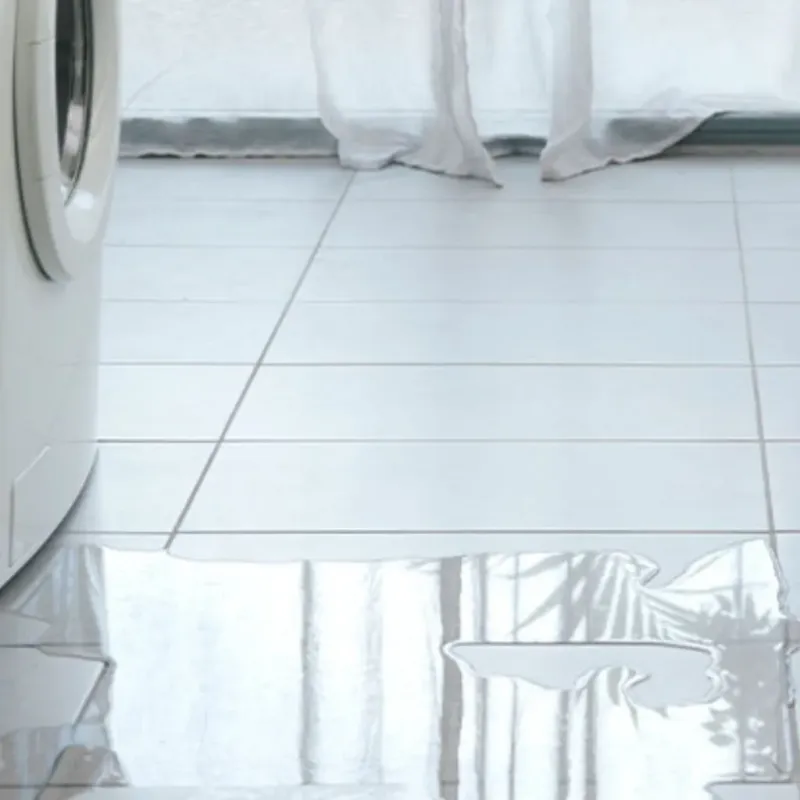 Appliance Leak Cleanup in Midland County, MI