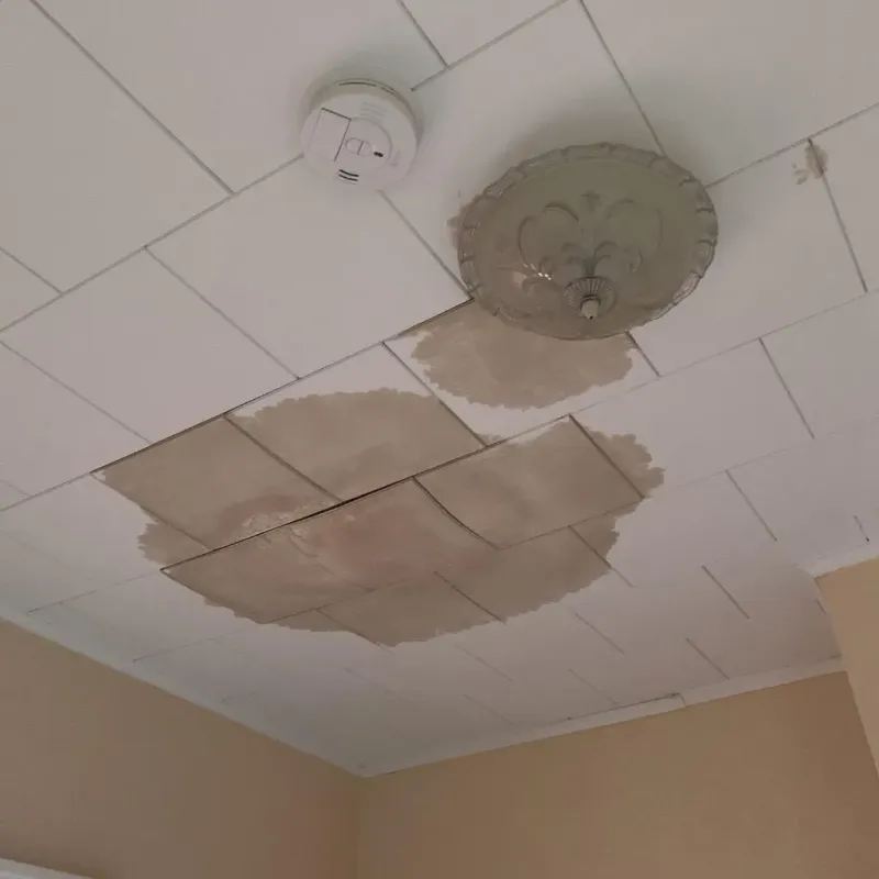 Ceiling Water Damage Repair in Midland County, MI