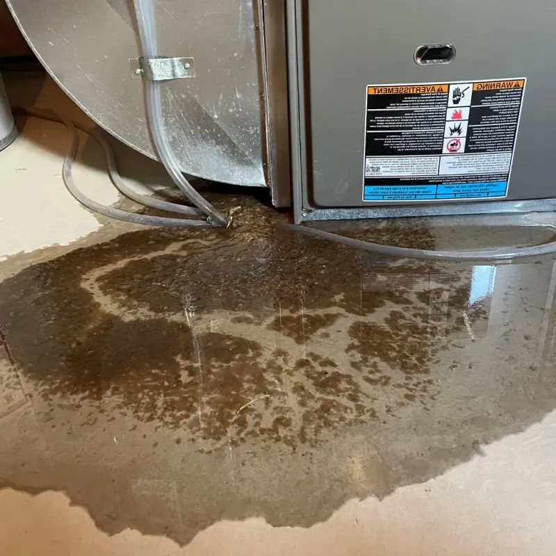 Pipe Burst and Leak Restoration in Midland County, MI