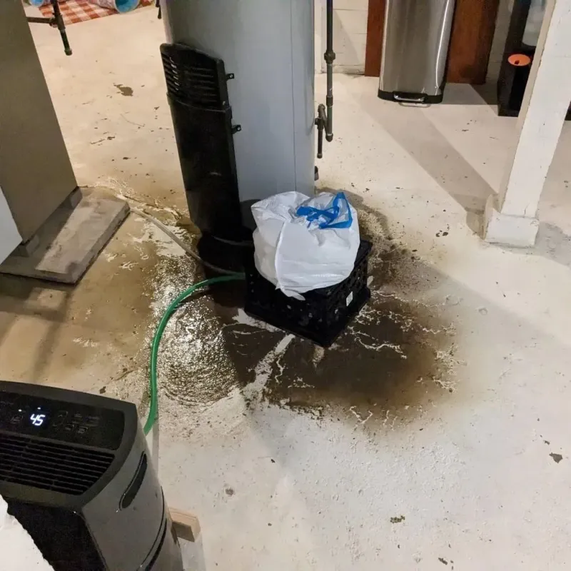 Sewage Backup Cleanup Service in Midland County, MI